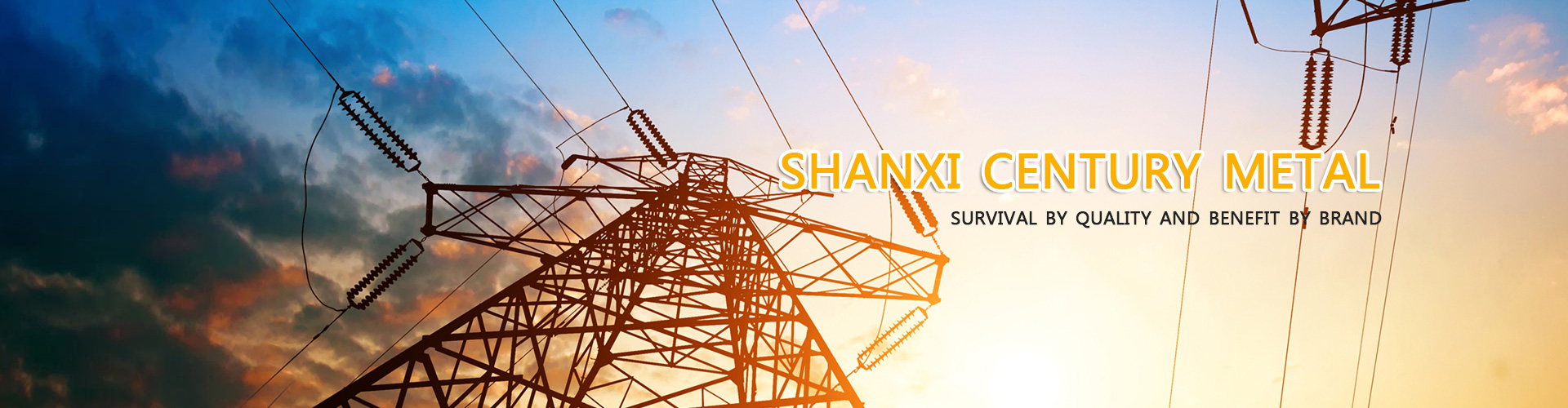  Shanxi Century Metal Industries Inc.